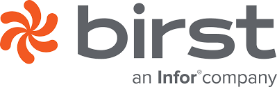 Birst Partner Birst Partner
