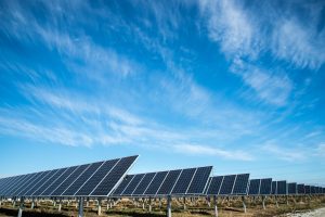 Solar farm to be constructed at Muswellbrook NSW